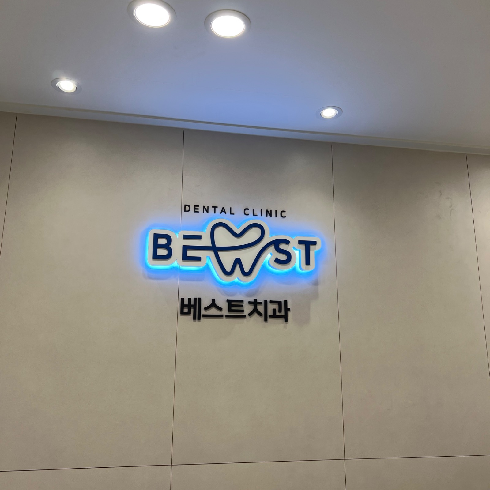 애니마마 review