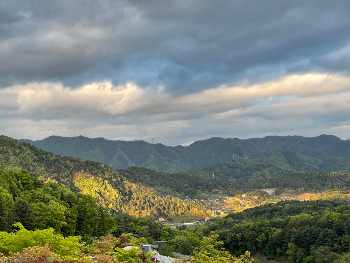 AP/IB chem bio - 서울특별시 서초구 반포동 | 비즈프로필