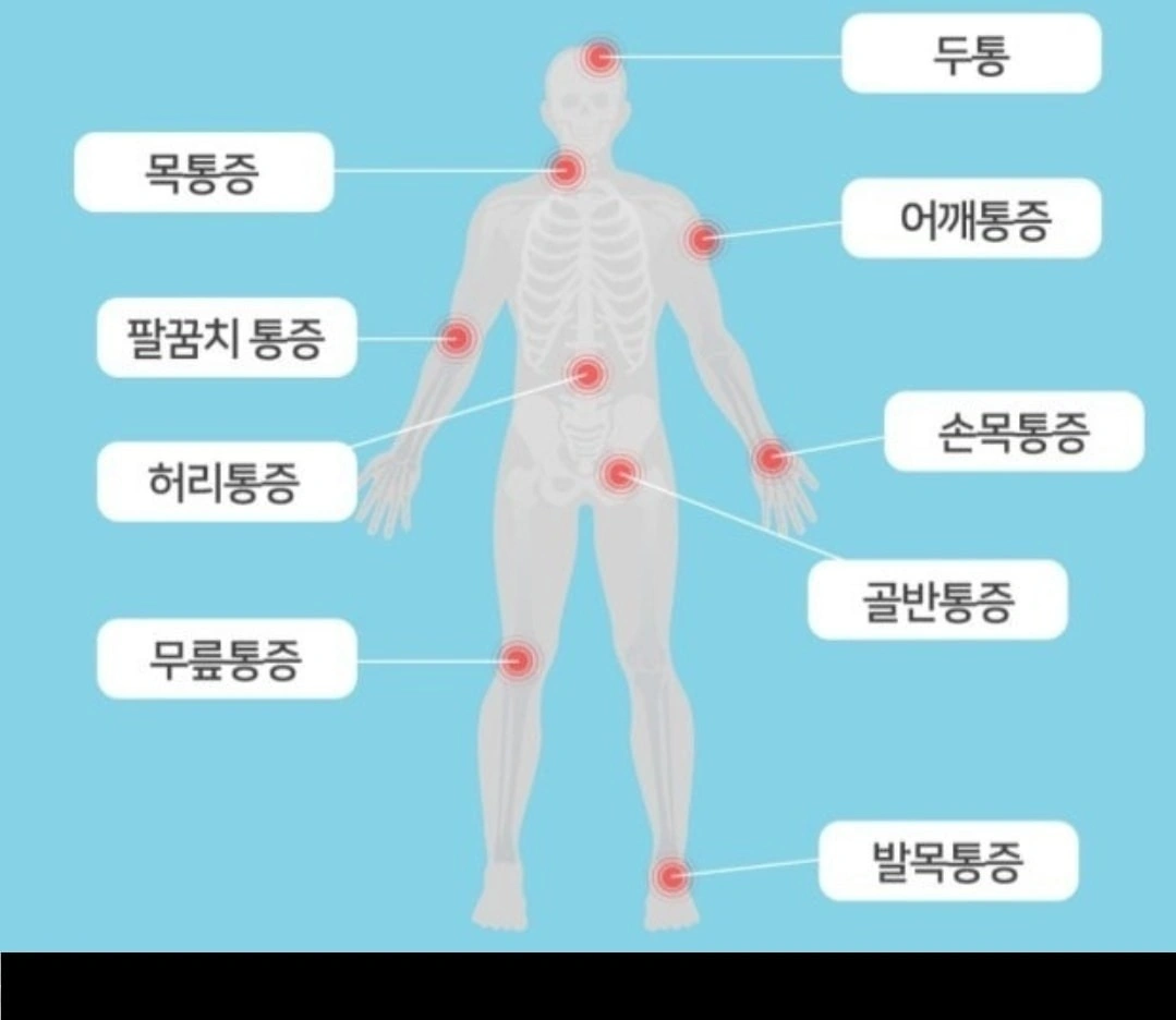 통증관리 스트레칭 지압 스포츠 교정 - 제주특별자치도 서귀포시 동홍동 | 비즈프로필
