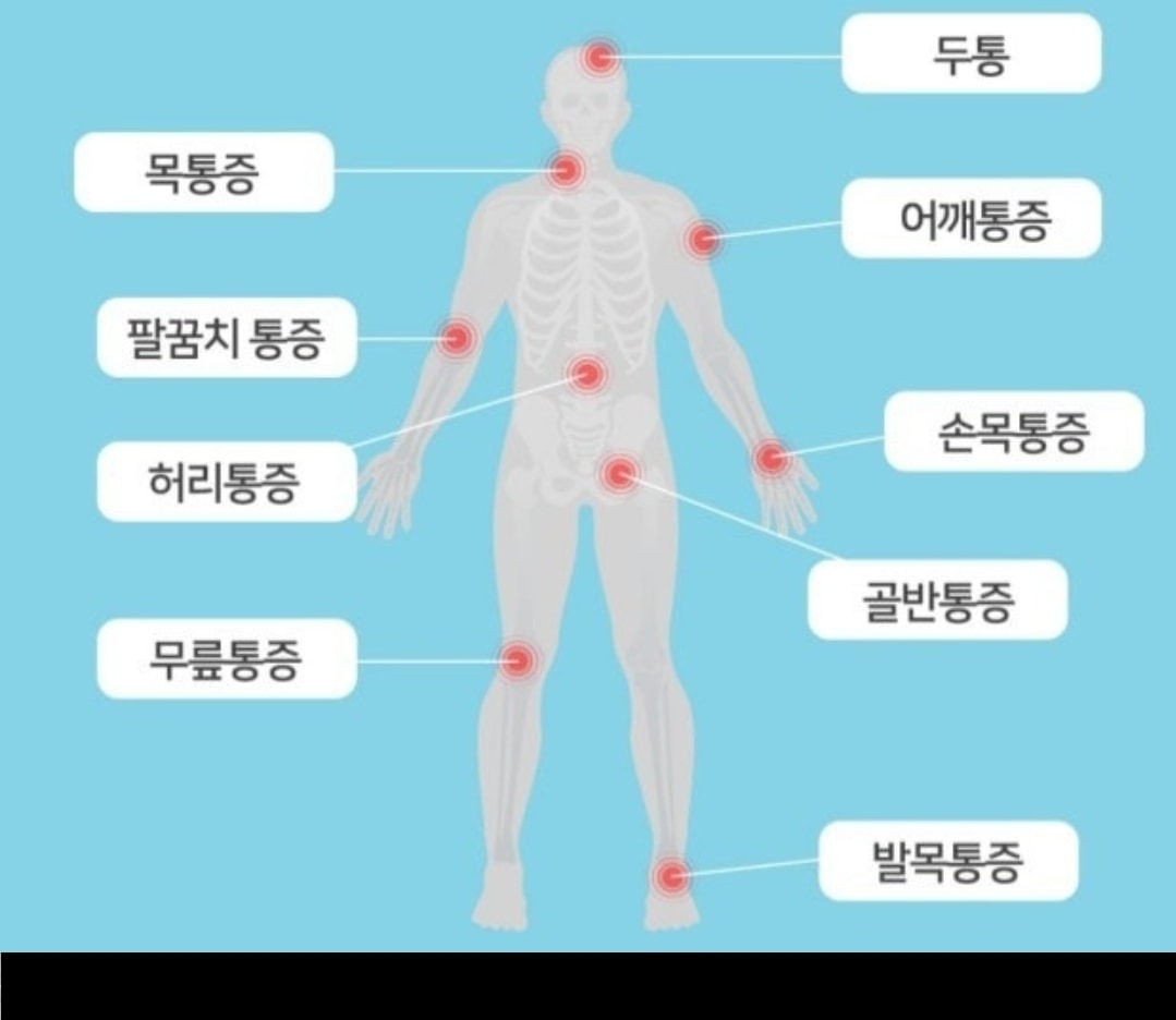 통증관리 스트레칭 지압 스포츠 교정 - 제주특별자치도 서귀포시 동홍동 | 비즈프로필