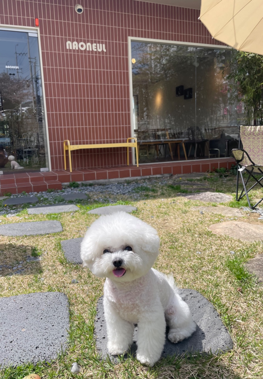 나,오늘 카페