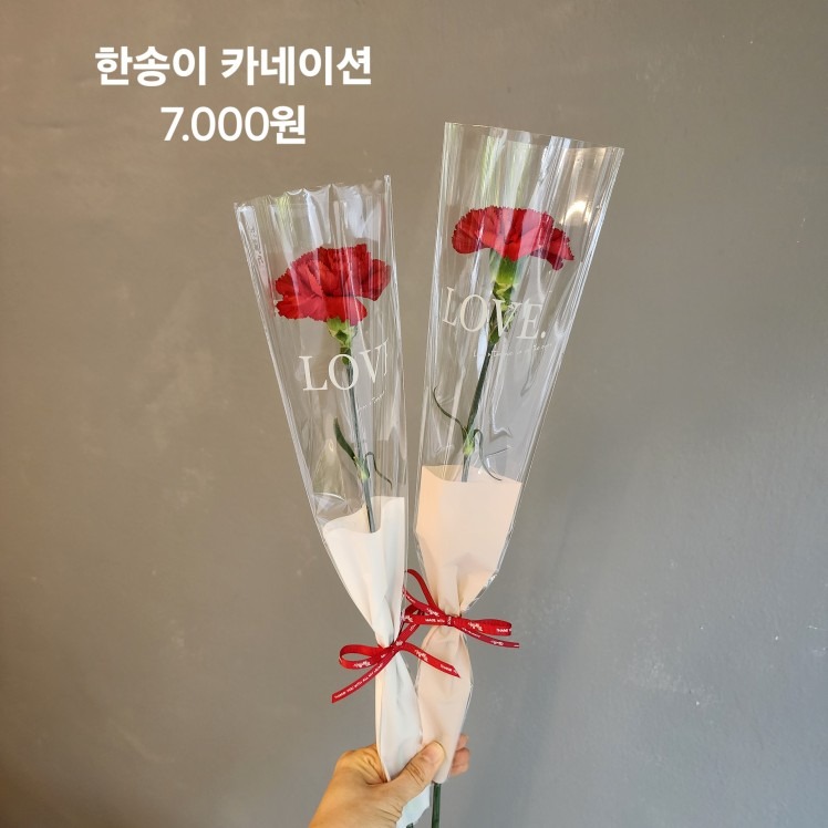 온화 picture 3