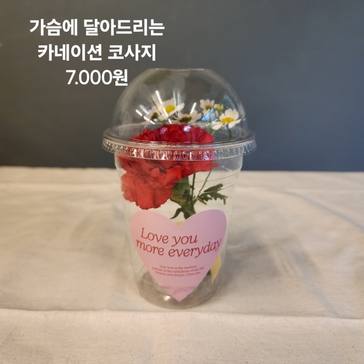 온화 picture 4