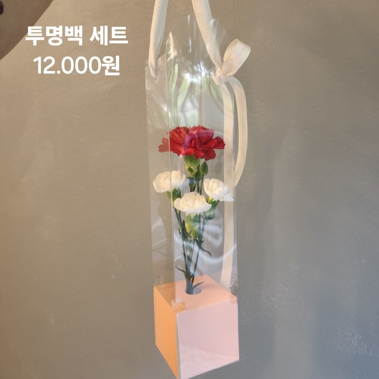 온화 picture 8