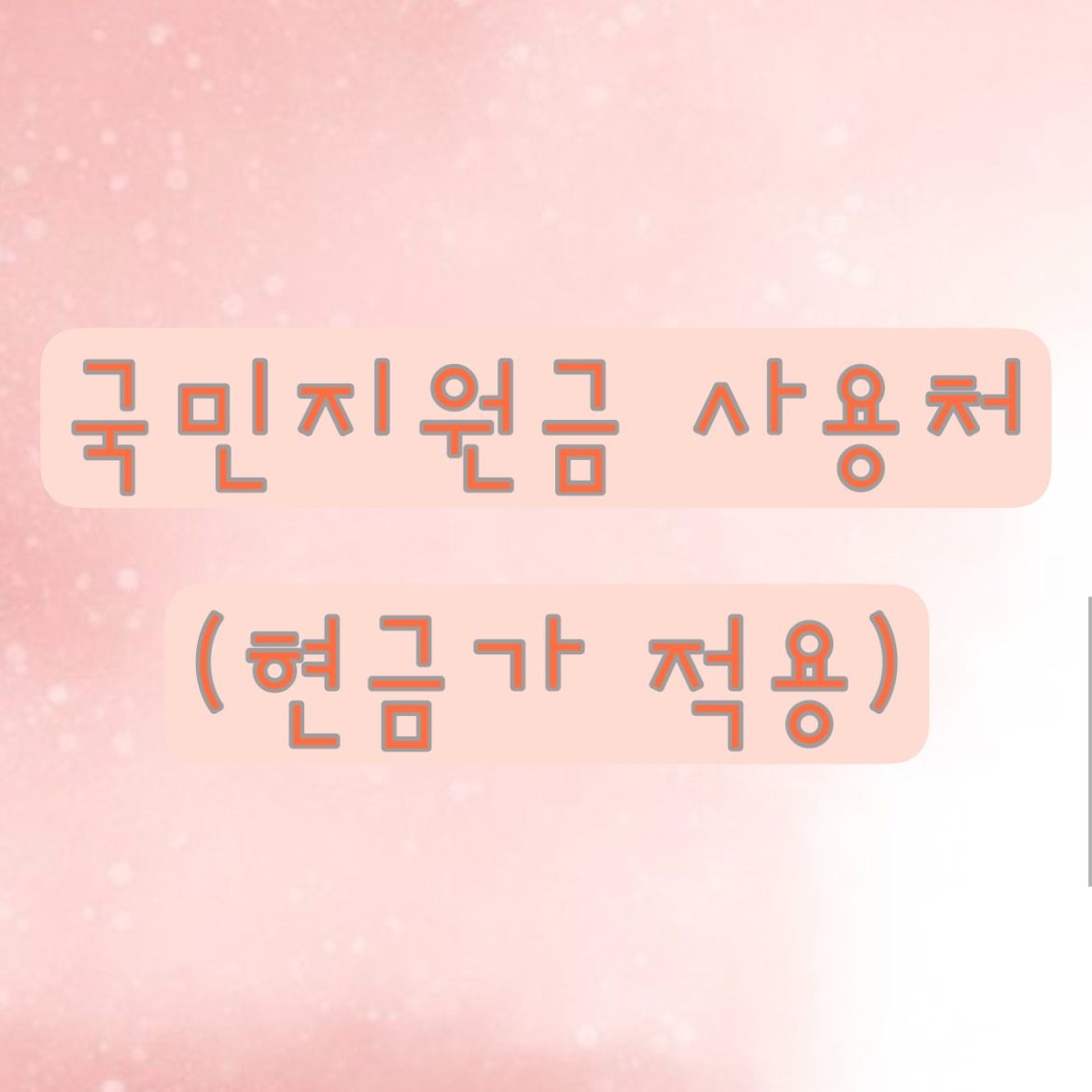 국민지원금사용가능