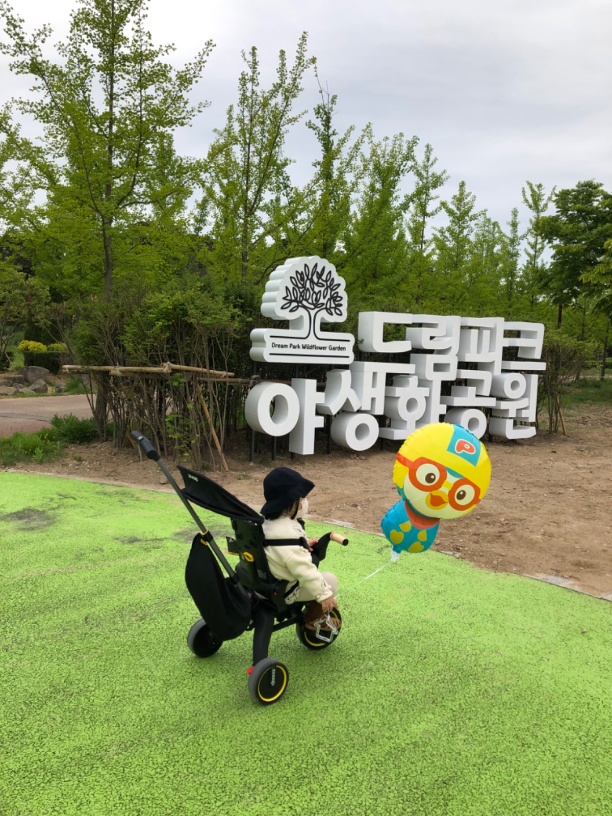 제이앤티룸_벌룬 picture 5