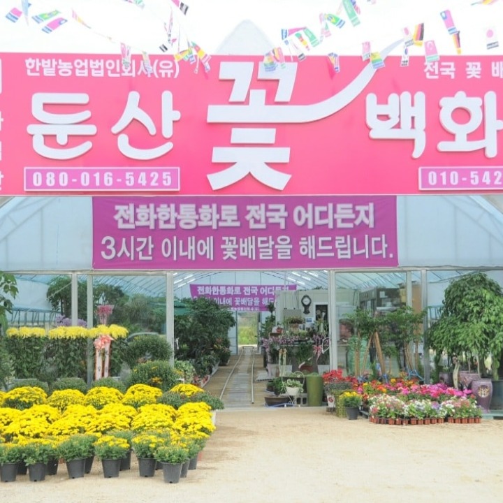 둔산꽃백화점 