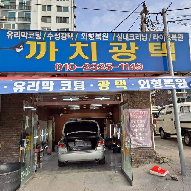 까치광택