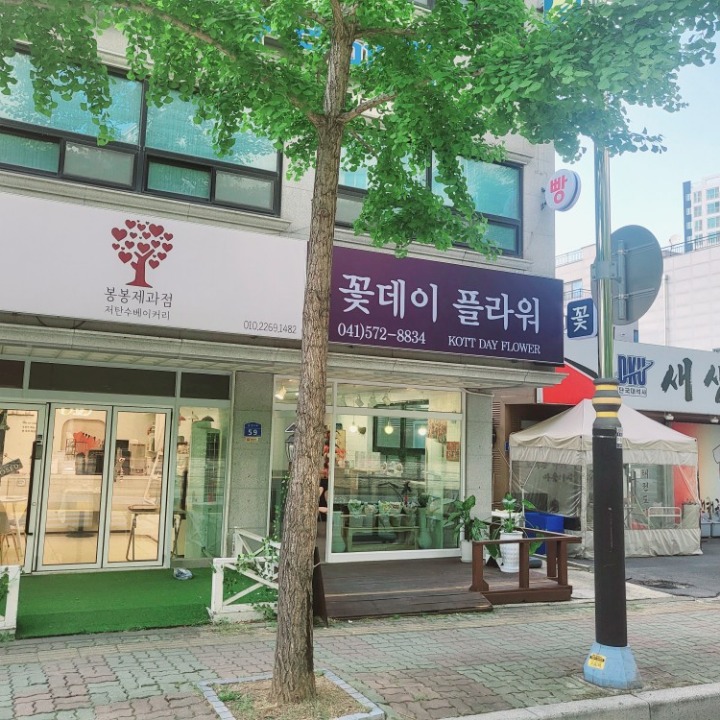꽃데이 플라워
