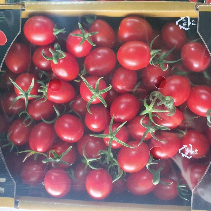 홍이농원