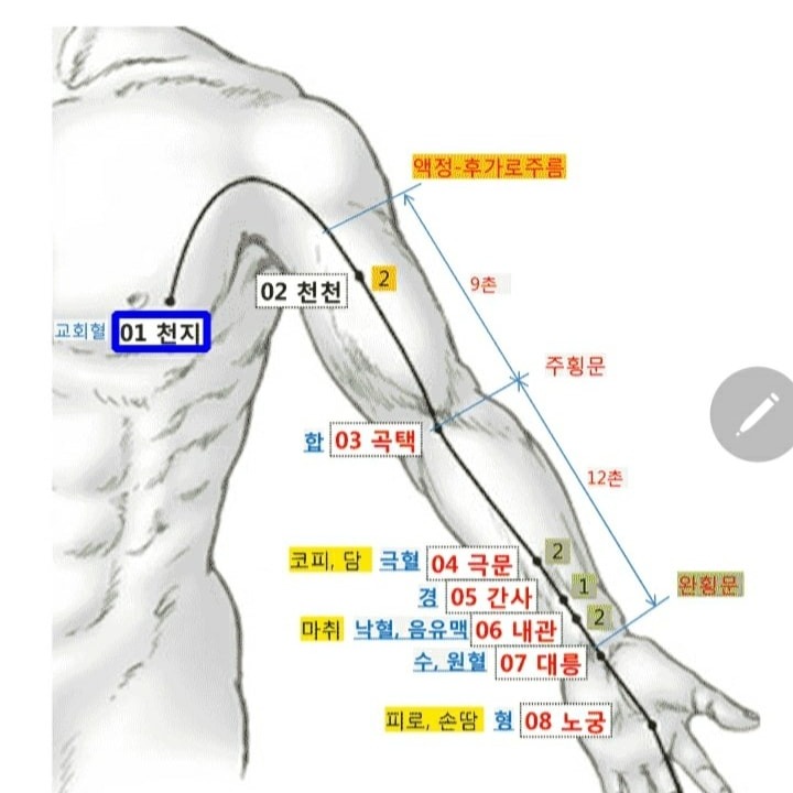 체형관리 통증치료
