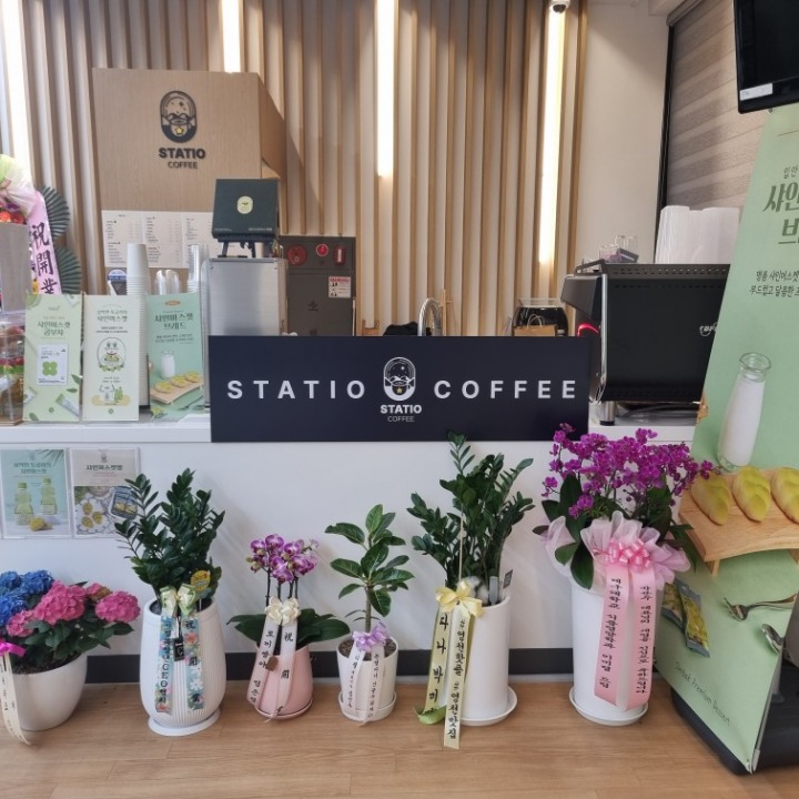 스타티오
