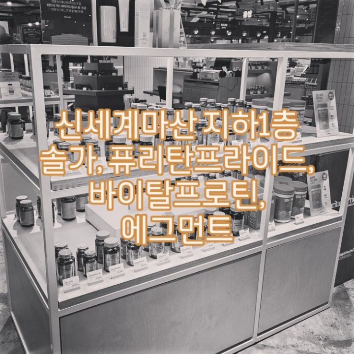 신세계마산 솔가