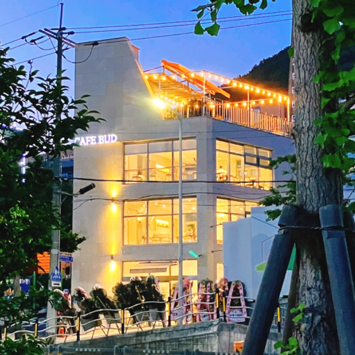 카페 버드