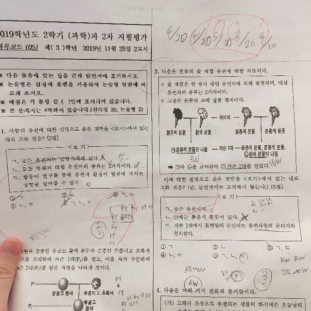 중등전문 수학과학 과외쌤 의 프로필 사진