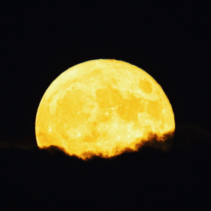 달빛토끼의 별빛사진
