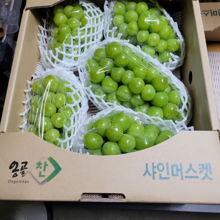 남산골