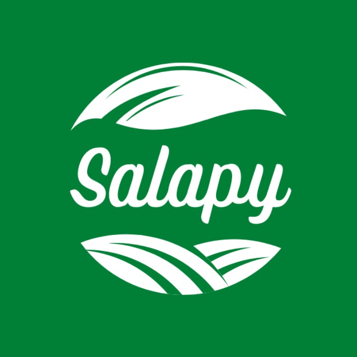 샐라피 샐러드salapy