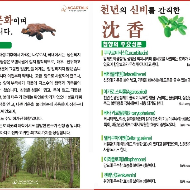 아가톡(주)