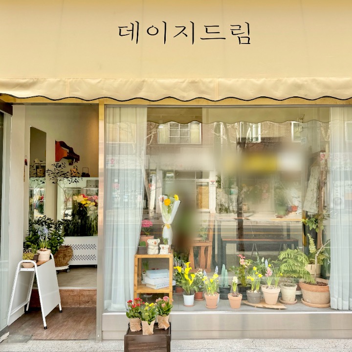 데이지드림