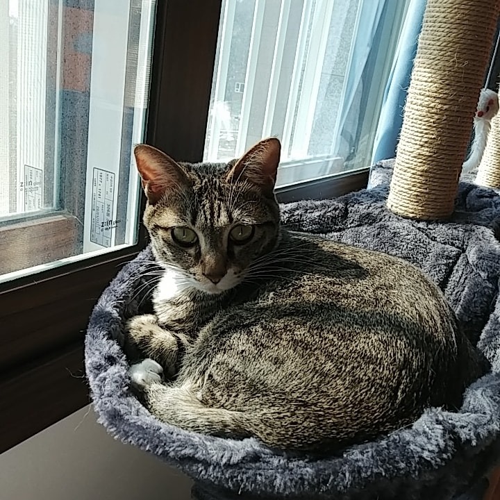 라씨네 빨래방