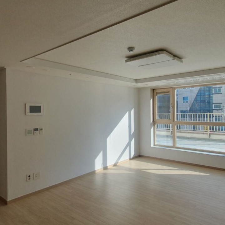 인생도배