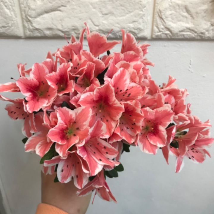 꽃너울