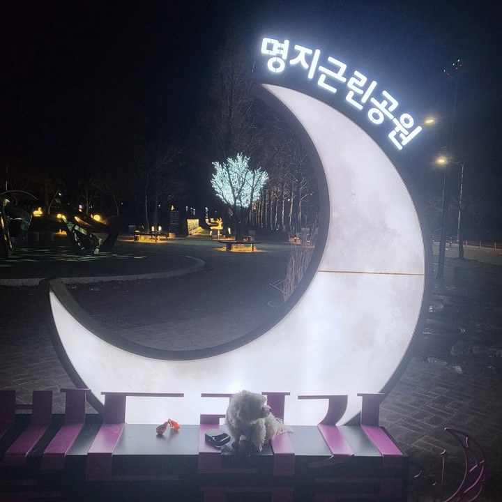 인생타로