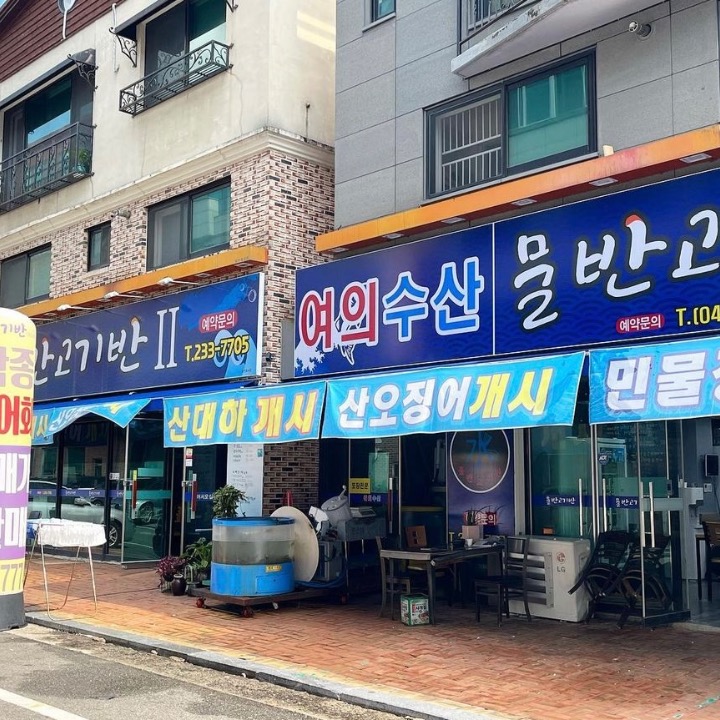 물반고기반