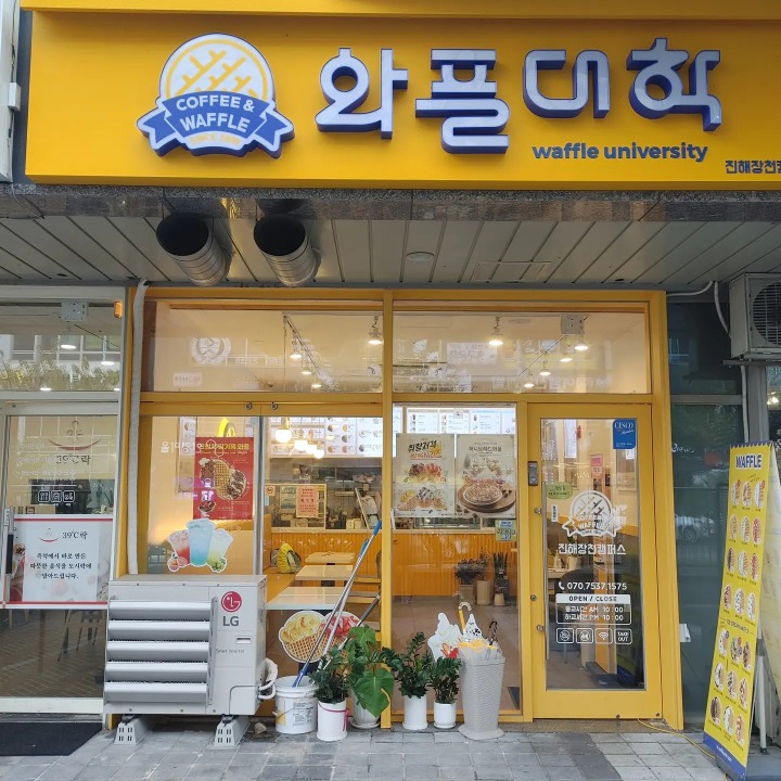 와플대학진해장천캠퍼스