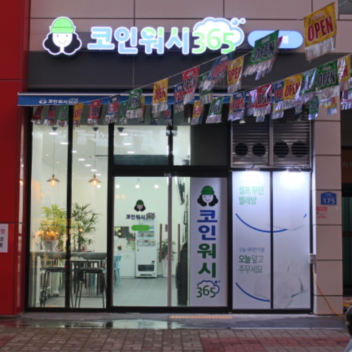 크린토피아 코인워시365