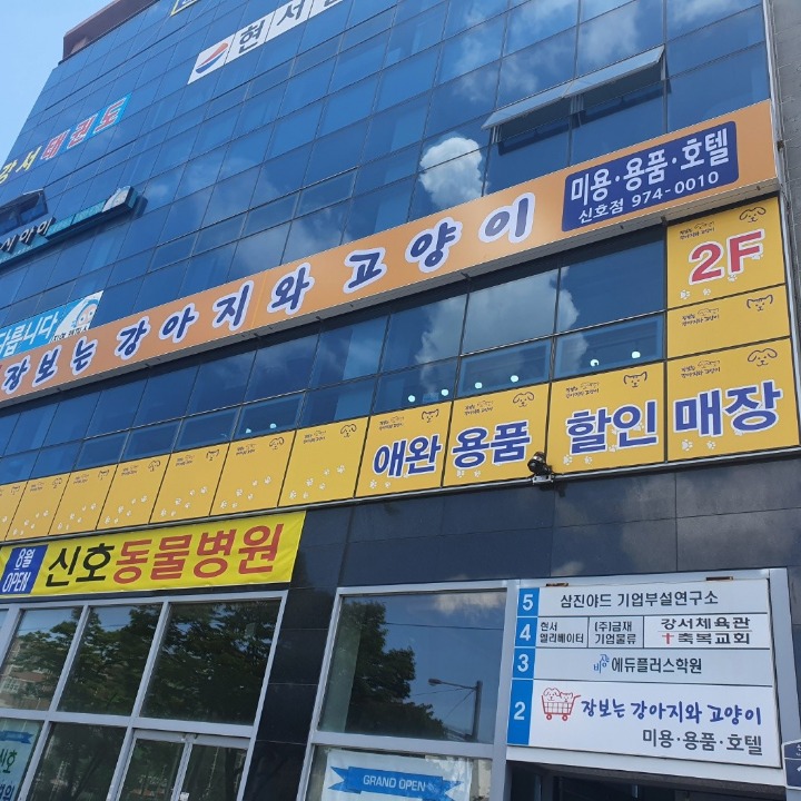장보는강아지와고양이