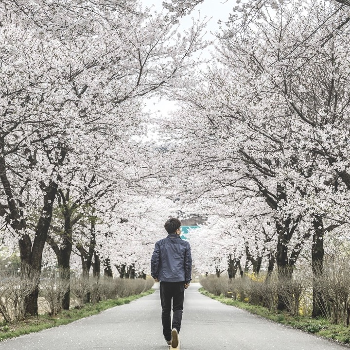 사진의 기초 개인레슨