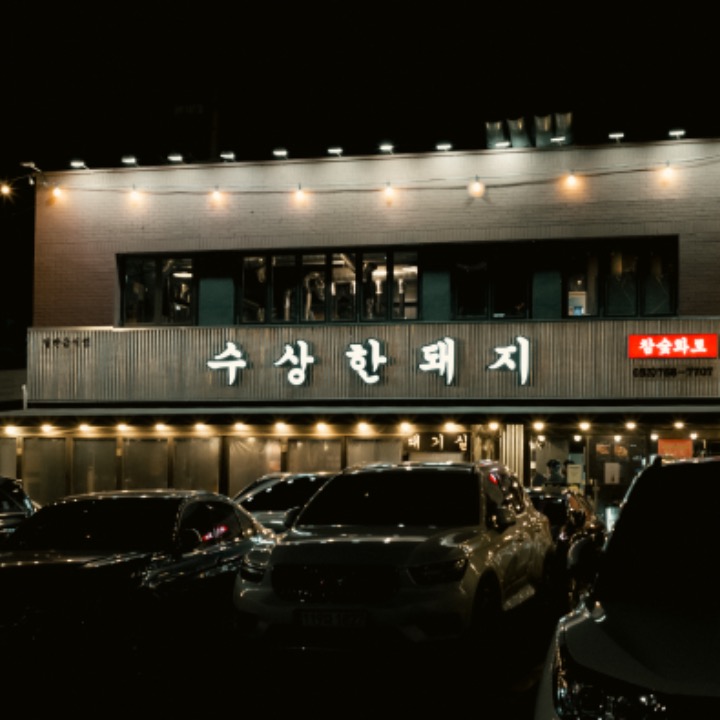 수상한돼지