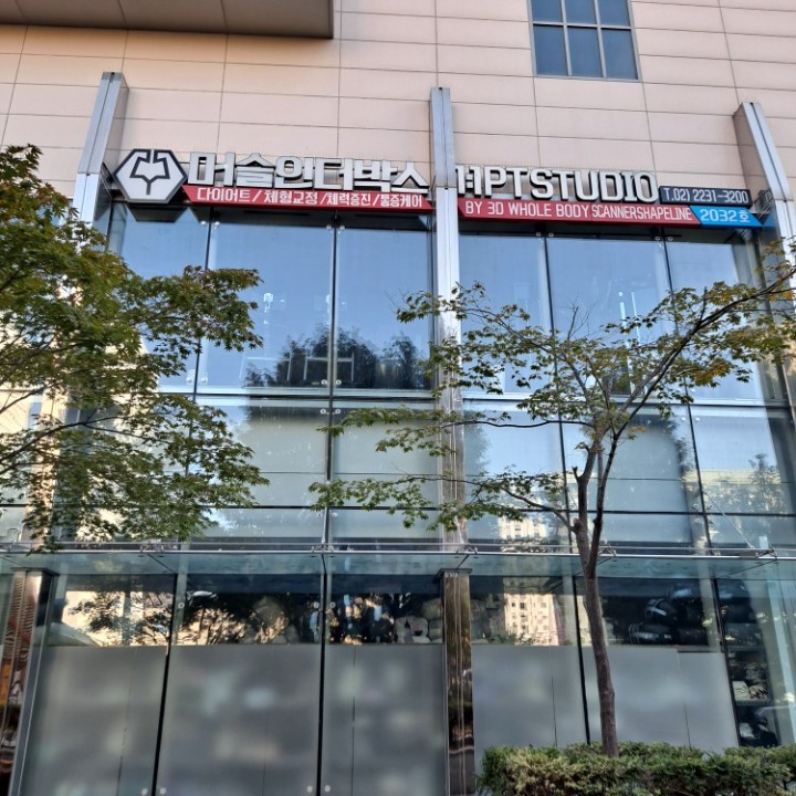 머슬인더박스
