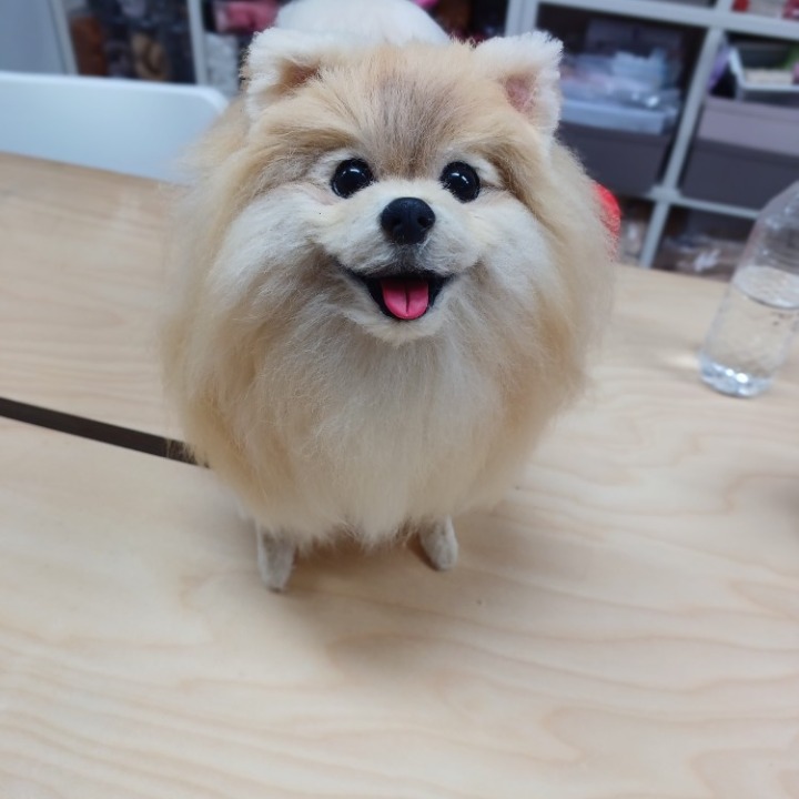 인형공방 도담앤앨리스
