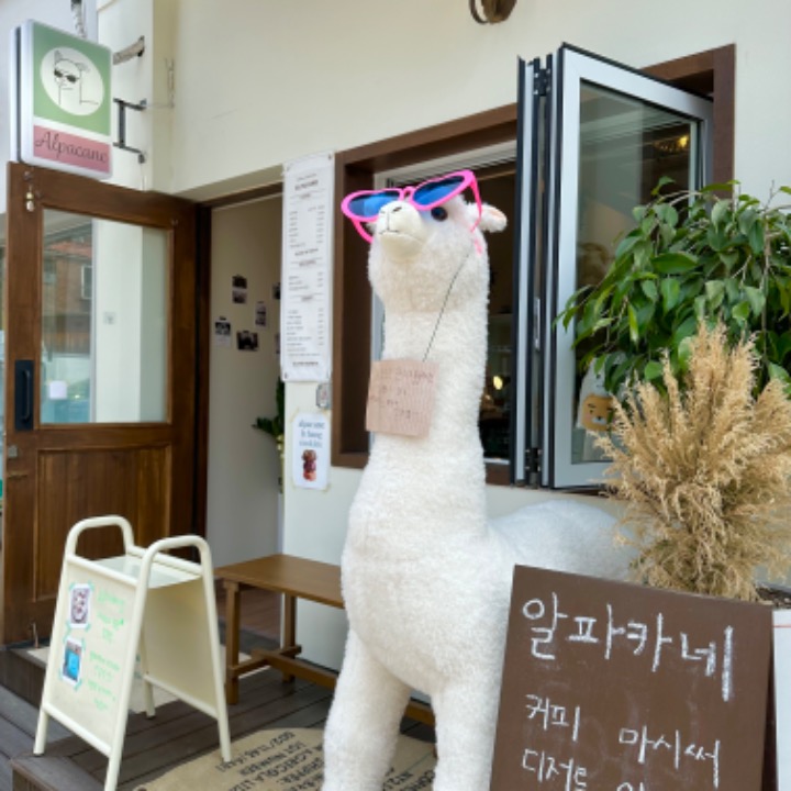 알파카네 카페