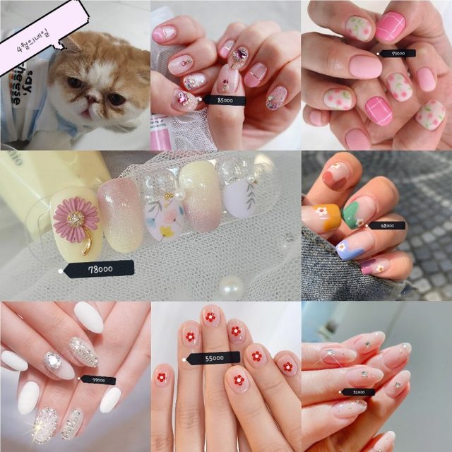 지지배샵