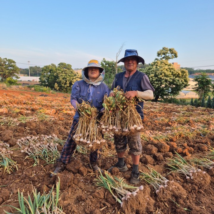 사계절farm
