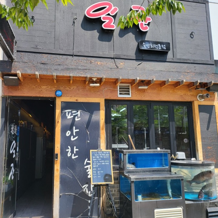 일잔숙성회전문점