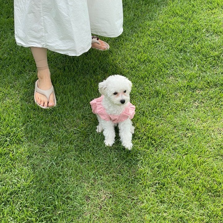 섭이네 독채 파티룸