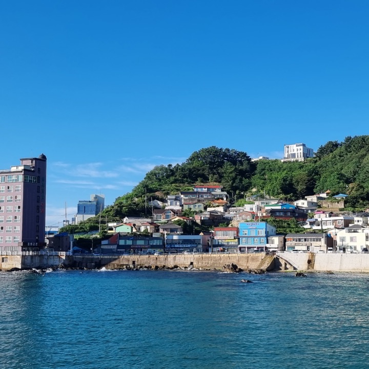 새내기바버