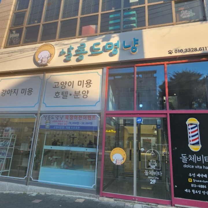 살롱드멍냥