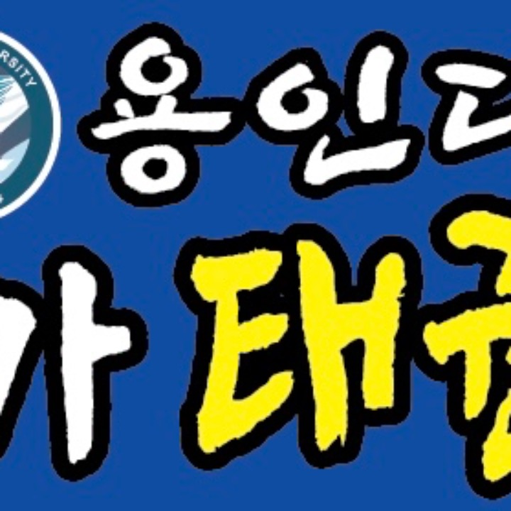 용인대하가태권도