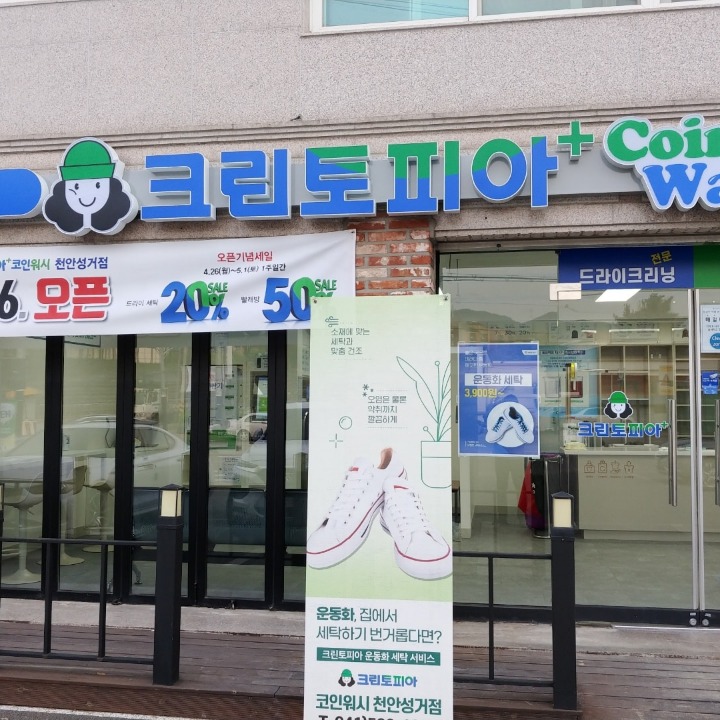 크린토피아 코인워시성거점