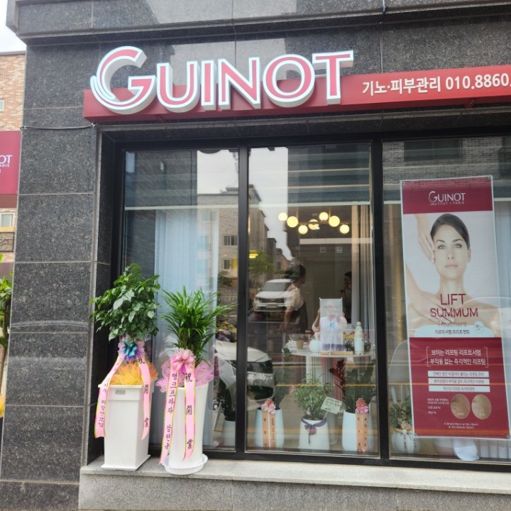 기노