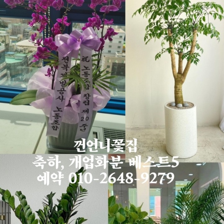 껀언니 꽃집