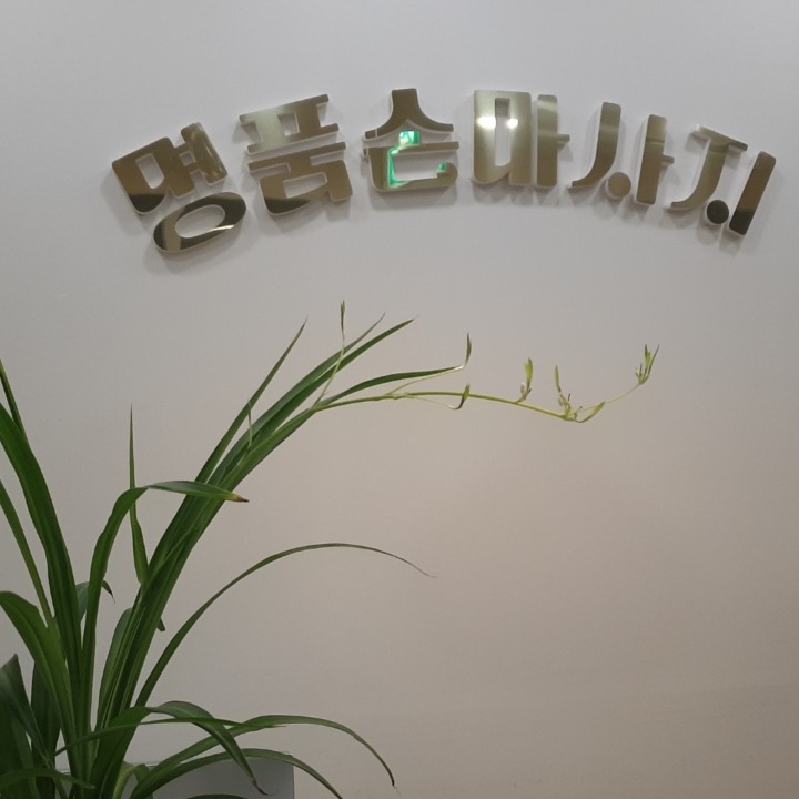 명품손마사지샵