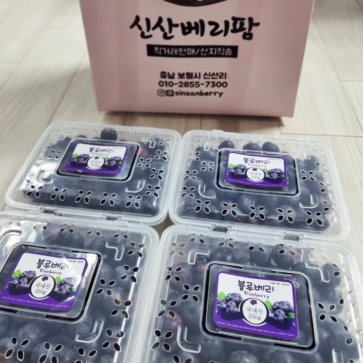 보령신산블루베리농장