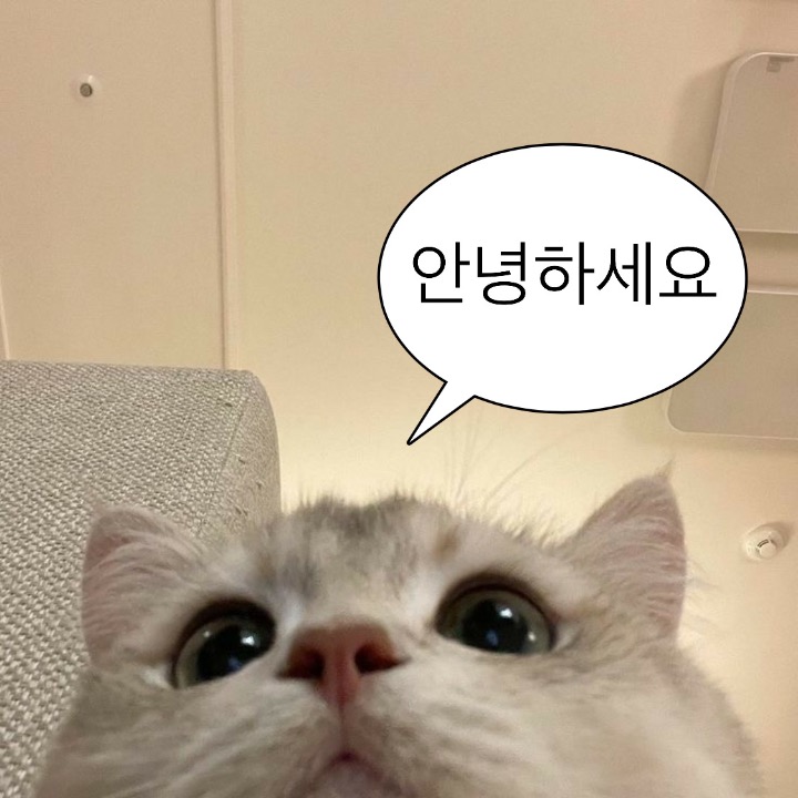 말풍선 붙여드려요